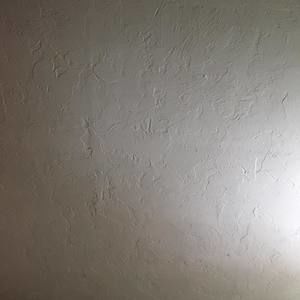 Meet your Posher, Lilly